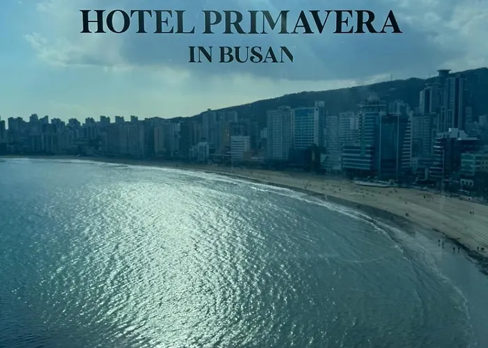Beach Hotels Gwangalli Primavera In Busan